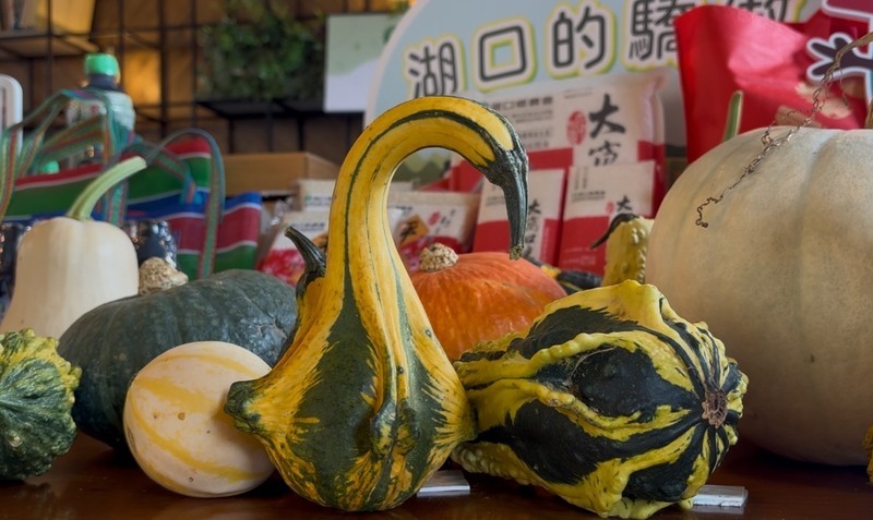 ตำบลหูโข่ว เมืองซินจู๋ เตรียมจัดเทศกาล “แตงนานาชนิด” วันที่ 14–15 มิถุนายนนี้ ส่งเสริมผลผลิตท้องถิ่น